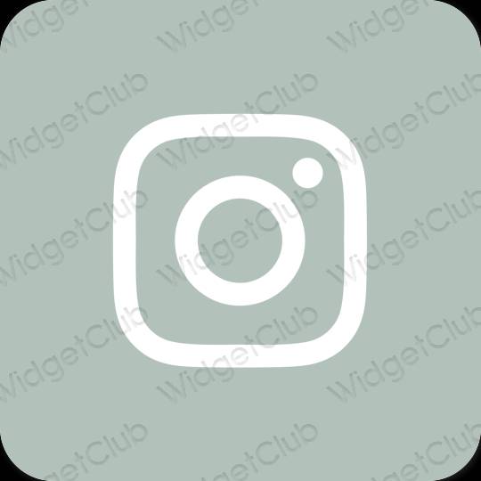 Æstetisk grøn Instagram app ikoner