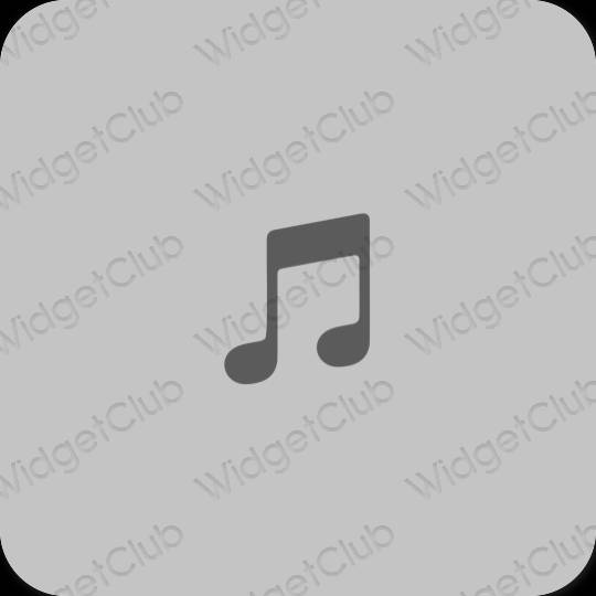 Estetické sivá Music ikony aplikácií