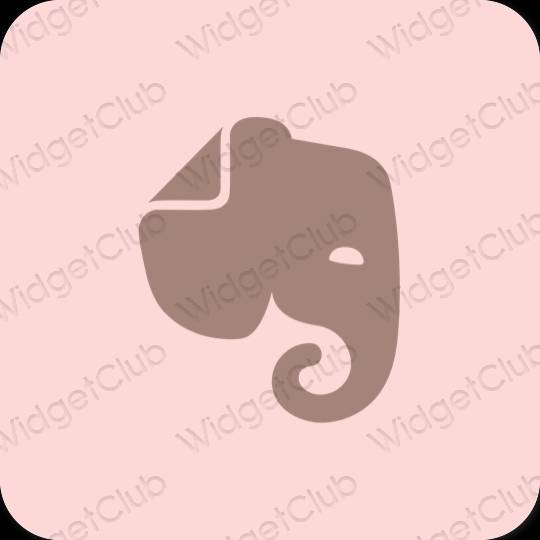 Естетичен пастелно розово Evernote икони на приложения
