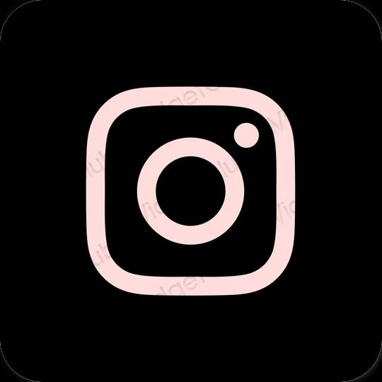 Biểu tượng ứng dụng Instagram thẩm mỹ