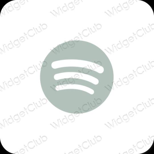 Esthetische Spotify app-pictogrammen