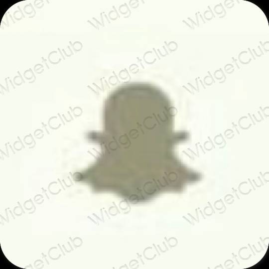 Estetske snapchat ikone aplikacij
