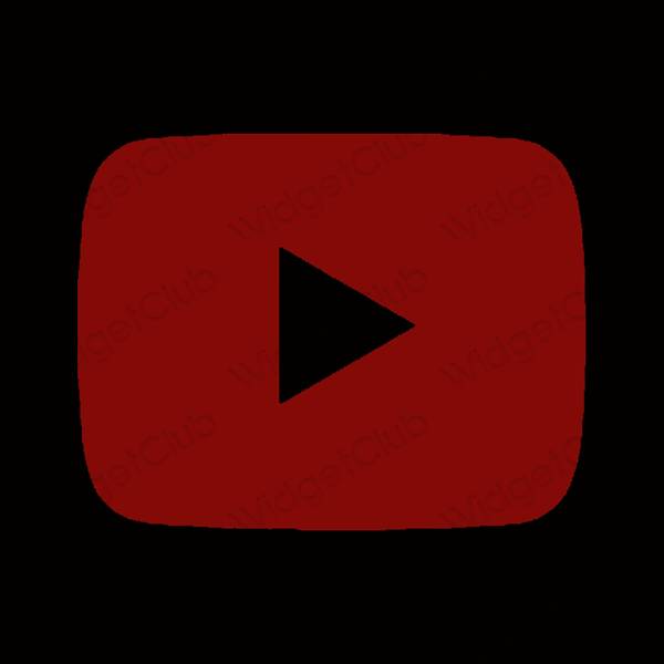 Естетске Youtube иконе апликација