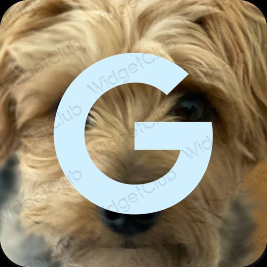 រូបតំណាងកម្មវិធី Google សោភ័ណភាព