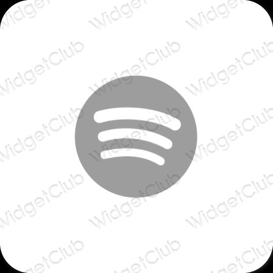 Esthetische Spotify app-pictogrammen