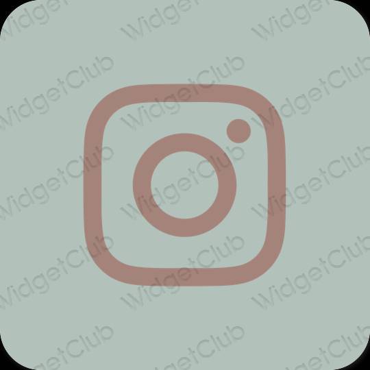 Estético verde Instagram iconos de aplicaciones