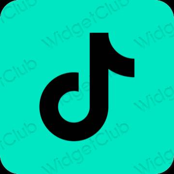 Aesthetic blue TikTok app icons