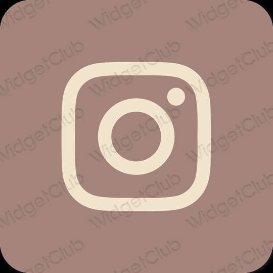 эстетический коричневый Instagram значки приложений