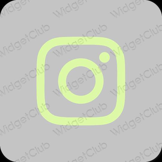 Estetico grigio Instagram icone dell'app