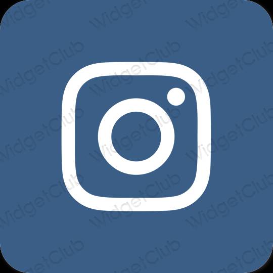 រូបតំណាងកម្មវិធី Instagram សោភ័ណភាព