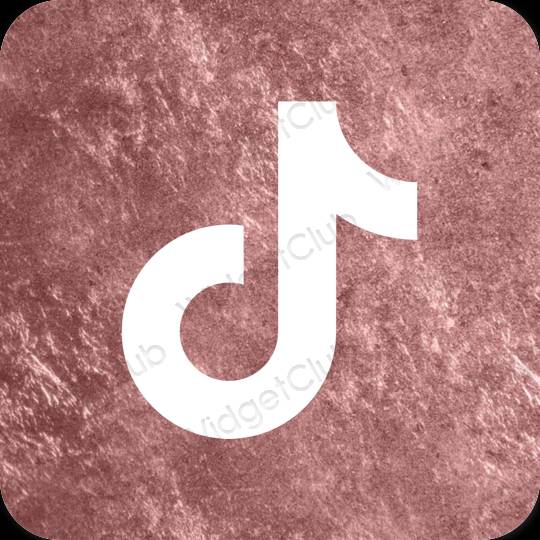 Aesthetic TikTok app icons