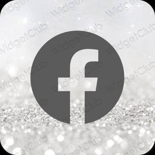 미적 Facebook 앱 아이콘