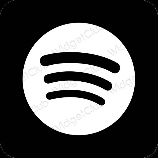эстетический черный Spotify значки приложений