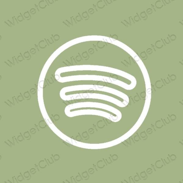 Esthetische Spotify app-pictogrammen