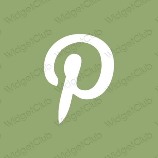 Biểu tượng ứng dụng Pinterest thẩm mỹ
