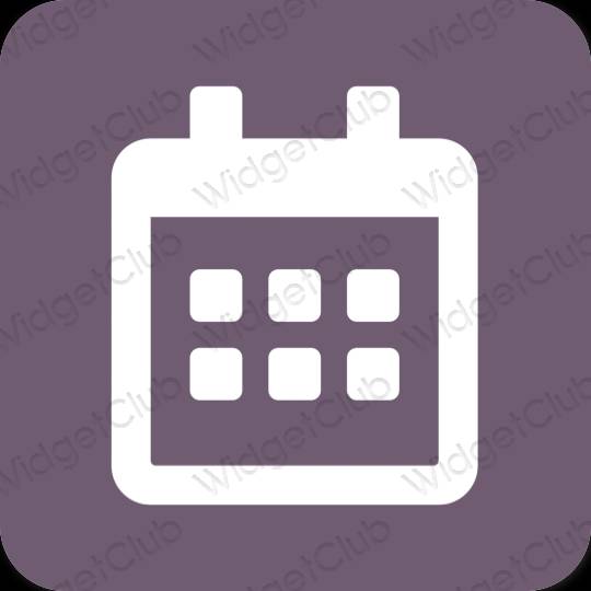 Icone delle app Calendar estetiche