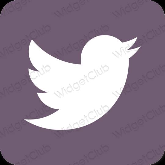 Icônes d'application Twitter esthétiques