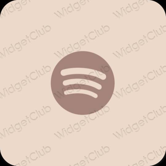 Esthetische Spotify app-pictogrammen