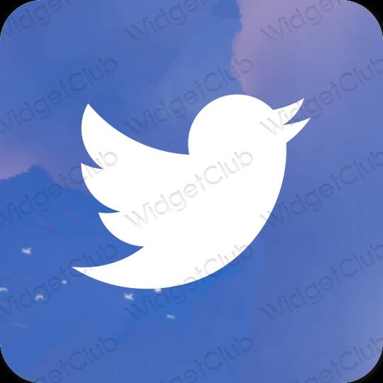 Icônes d'application Twitter esthétiques