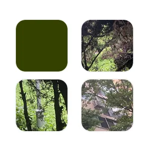 navy nature აპლიკაციის ხატულა პაკეტი[IBK11Iu3PFtPqNUKAlIT]