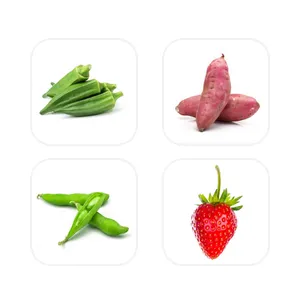vegetable style Pacchetto icone app[WcexRzUeWhJGxXBe9DBQ]