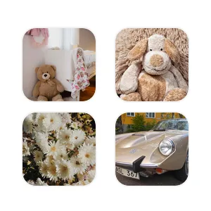 leopard x cat x Autumn brown home screen Paquete de iconos de aplicaciones[IQnUWBZ2BiUKRdcuh235]