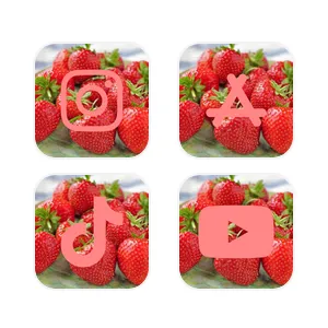 Raspberry🍓 Pacchetto icone app[AUEE1Q9naNRjxhEQMQPw]