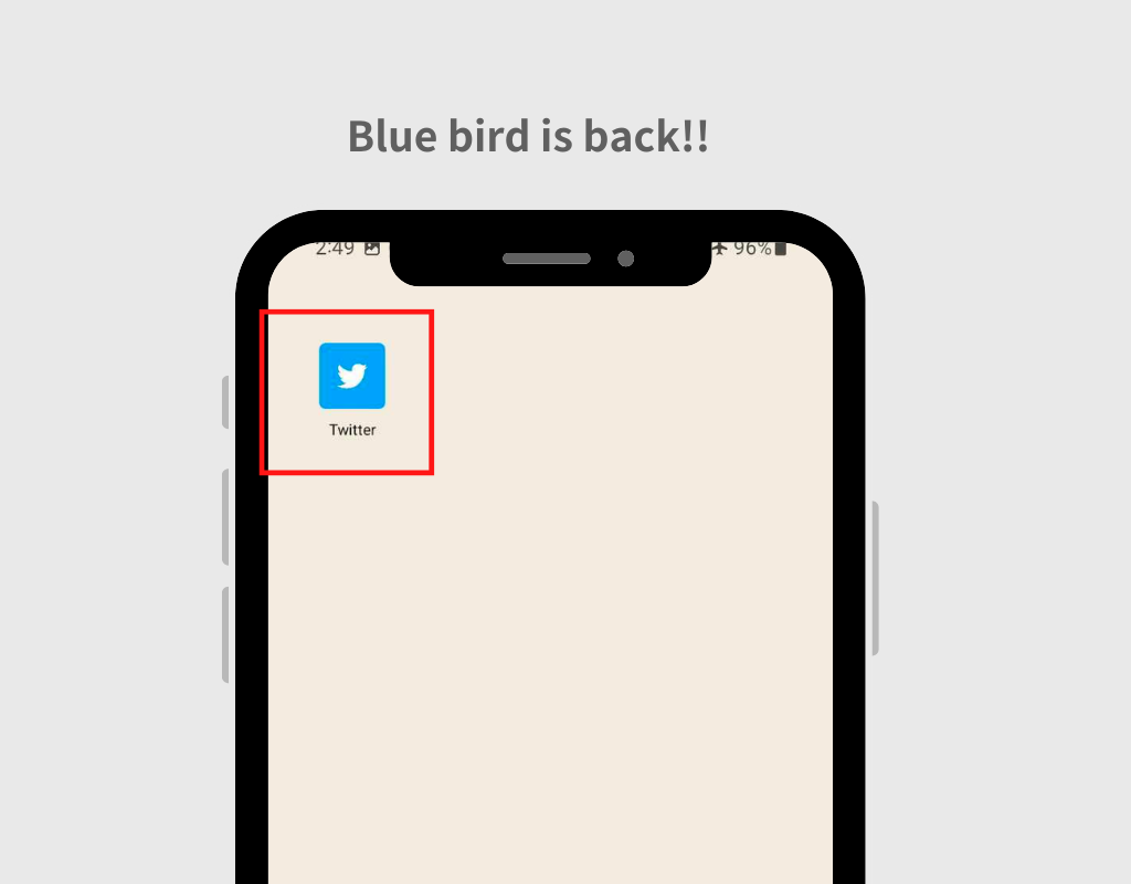 Imagen n.° 25 de Cómo cambiar el ícono de Twitter de la marca 'X' a Blue Bird