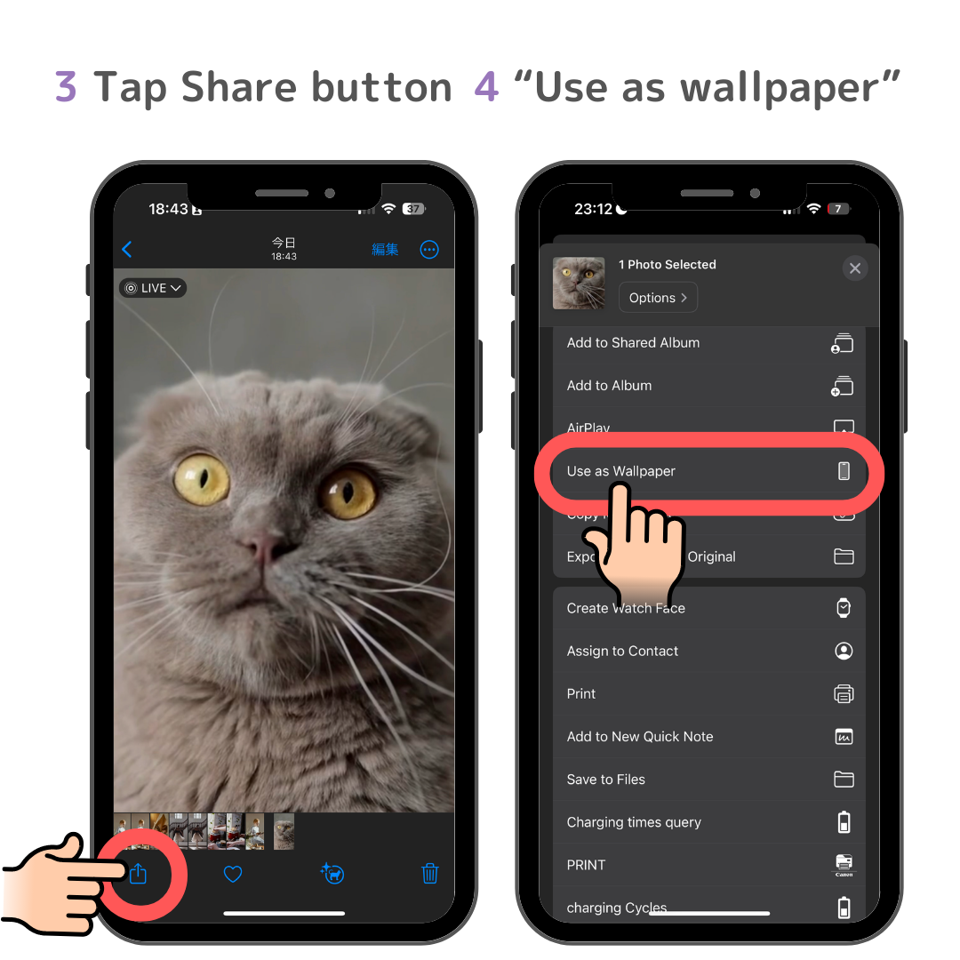 الصورة رقم 2 لـ [iOS] على WidgetClub، كيفية تعيين Live Wallpaper